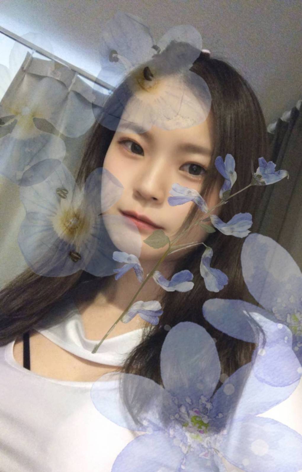 市川あかりイメージ